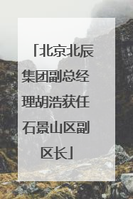 北京北辰集团副总经理胡浩获任石景山区副区长