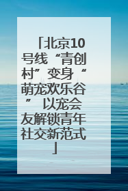 北京10号线“青创村”变身“萌宠欢乐谷” 以宠会友解锁青年社交新范式