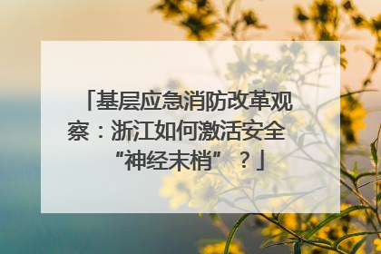 基层应急消防改革观察：浙江如何激活安全“神经末梢”？