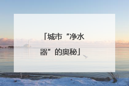 城市“净水器”的奥秘