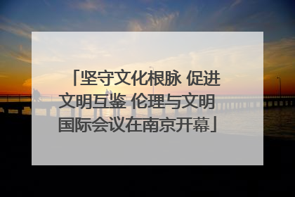 坚守文化根脉 促进文明互鉴 伦理与文明国际会议在南京开幕