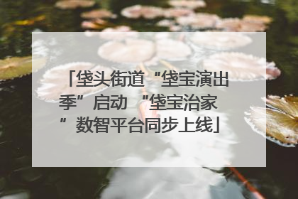 垡头街道“垡宝演出季”启动 “垡宝治家”数智平台同步上线
