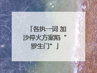 各执一词 加沙停火方案陷“罗生门”