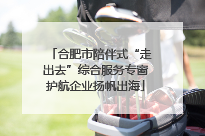 合肥市陪伴式“走出去”综合服务专窗护航企业扬帆出海