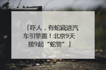 吓人，有蛇藏进汽车引擎盖！北京9天接9起“蛇警”