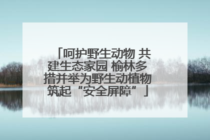呵护野生动物 共建生态家园 榆林多措并举为野生动植物筑起“安全屏障”