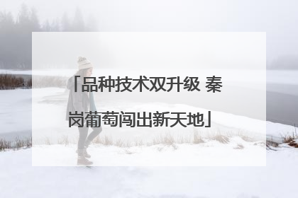 品种技术双升级 秦岗葡萄闯出新天地