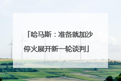 哈马斯：准备就加沙停火展开新一轮谈判