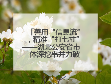 善用“信息流”,精准“打七寸”——湖北公安省市一体深挖串并力破民生案