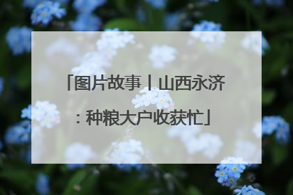 图片故事丨山西永济：种粮大户收获忙