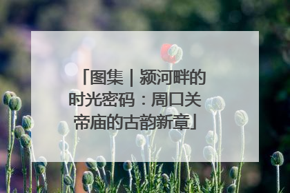 图集｜颍河畔的时光密码：周口关帝庙的古韵新章