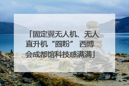 固定翼无人机、无人直升机“圈粉” 西博会成都馆科技感满满