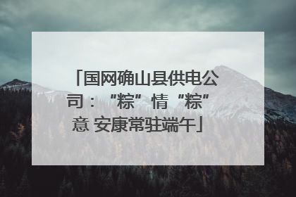 国网确山县供电公司：“粽”情“粽”意 安康常驻端午