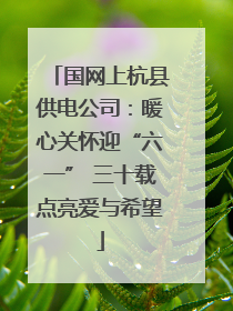 国网上杭县供电公司：暖心关怀迎“六一” 三十载点亮爱与希望