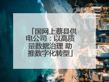 国网上蔡县供电公司：以高质量数据治理 助推数字化转型