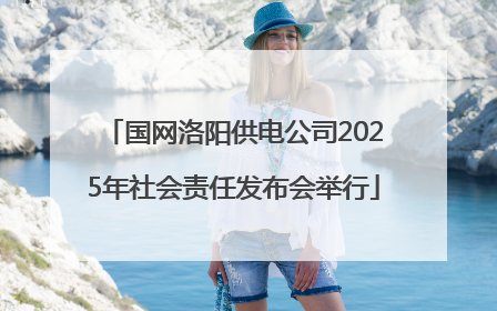 国网洛阳供电公司2025年社会责任发布会举行