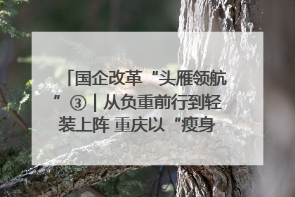 国企改革“头雁领航”③｜从负重前行到轻装上阵 重庆以“瘦身”谋“健体”