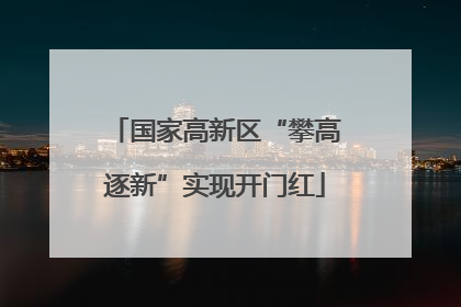 国家高新区“攀高逐新”实现开门红