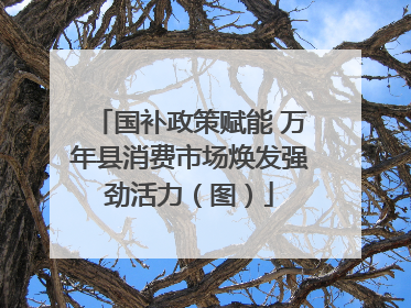 国补政策赋能 万年县消费市场焕发强劲活力（图）