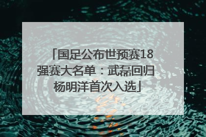 国足公布世预赛18强赛大名单：武磊回归 杨明洋首次入选