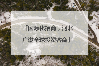 国际化招商，河北广邀全球投资客商