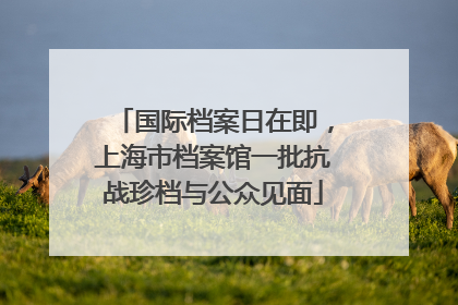 国际档案日在即，上海市档案馆一批抗战珍档与公众见面