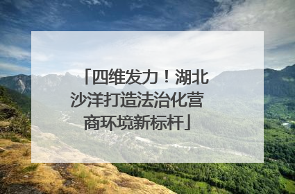 四维发力！湖北沙洋打造法治化营商环境新标杆