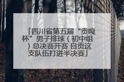 四川省第五届“贡嘎杯”男子排球（初中组）总决赛开赛 自贡这支队伍打进半决赛