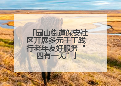 园山街道保安社区开展多元手工践行老年友好服务“四有一无”