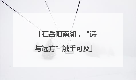 在岳阳南湖，“诗与远方”触手可及