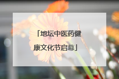 地坛中医药健康文化节启幕