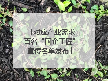 对应产业需求 百名“国企工匠”宣传名单发布