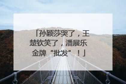 孙颖莎哭了，王楚钦笑了，潘展乐金牌“批发”！