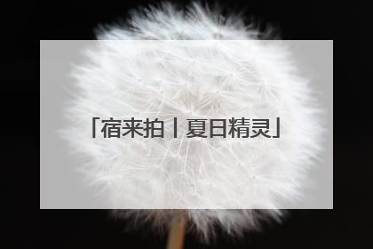 宿来拍丨夏日精灵