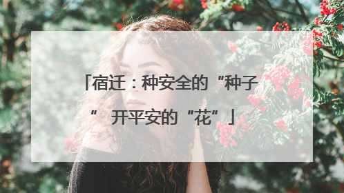 宿迁：种安全的“种子” 开平安的“花”