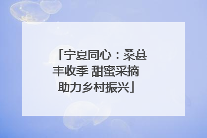 宁夏同心：桑葚丰收季 甜蜜采摘助力乡村振兴