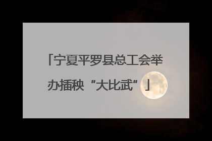 宁夏平罗县总工会举办插秧“大比武”