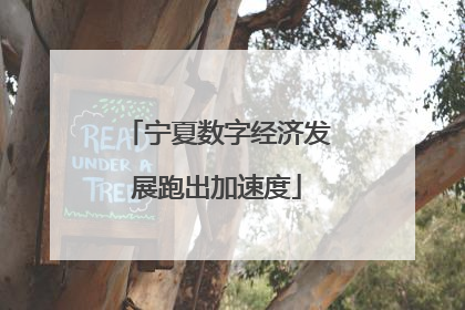 宁夏数字经济发展跑出加速度