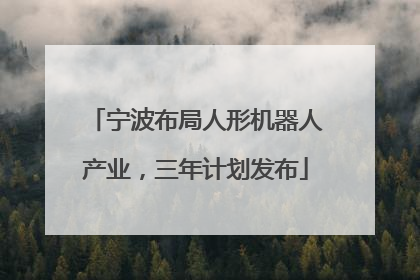 宁波布局人形机器人产业，三年计划发布