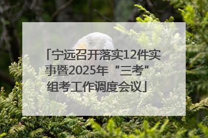 宁远召开落实12件实事暨2025年“三考”组考工作调度会议