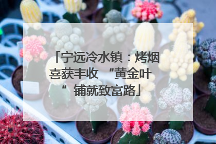 宁远冷水镇：烤烟喜获丰收 “黄金叶”铺就致富路