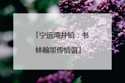 宁远湾井镇：书林翰墨传情谊