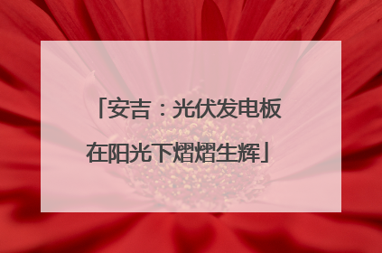 安吉：光伏发电板在阳光下熠熠生辉