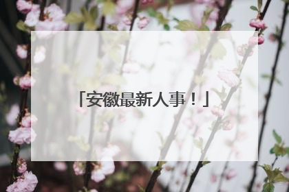 安徽最新人事！