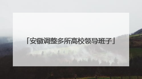 安徽调整多所高校领导班子