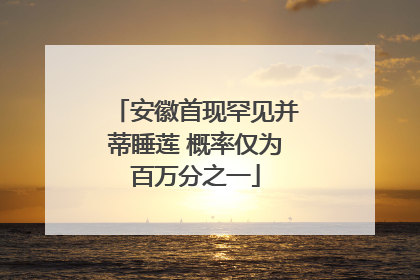 安徽首现罕见并蒂睡莲 概率仅为百万分之一