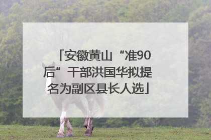 安徽黄山“准90后”干部洪国华拟提名为副区县长人选