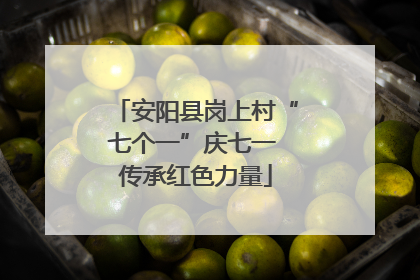 安阳县岗上村“七个一”庆七一 传承红色力量
