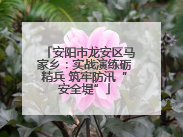 安阳市龙安区马家乡：实战演练砺精兵 筑牢防汛“安全堤”