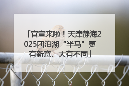 官宣来啦！天津静海2025团泊湖“半马”更有新意、大有不同